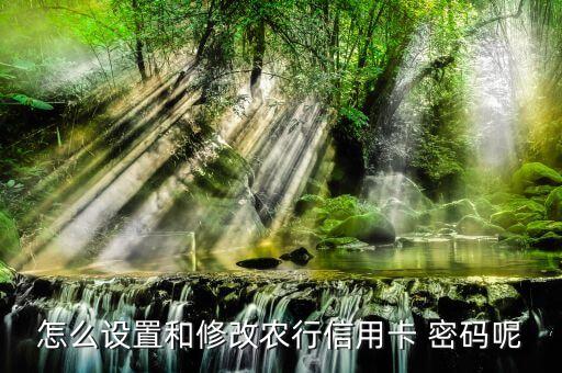 农业银行怎么改查询密码