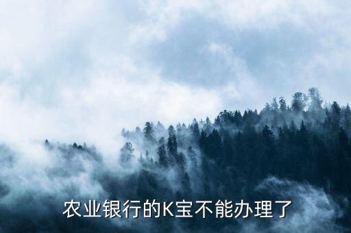 中国农业k宝我怎么没有