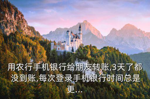 农业银行钱怎么没到账呢
