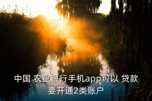 农业借记卡怎么贷款,农业项目怎么贷款