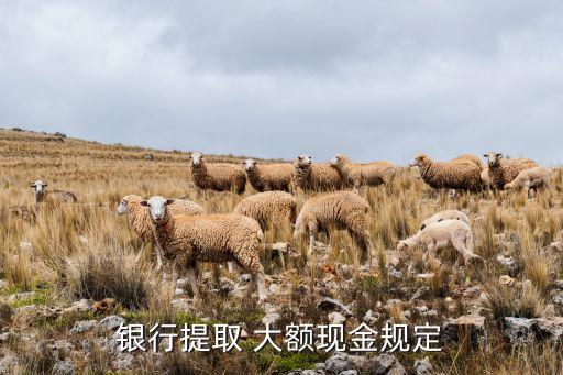 农业银行大额存单怎么取钱,2023年农业银行大额存单利率