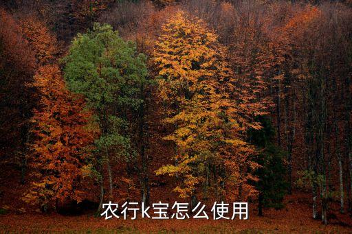 怎么安装农业银行的k宝,农业银行k宝证书下载与安装教程