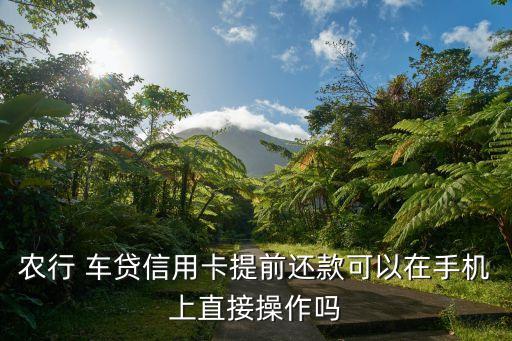 农业银行还车贷怎么