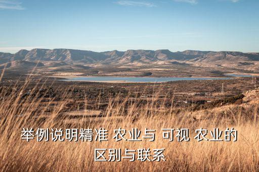 可视农业的客服情况怎么写,农业产业情况怎么写