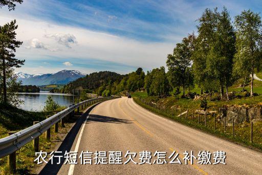 农业银行卡余额不足怎么充