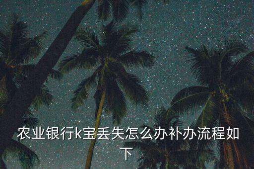 农业银行没有k宝怎么申请