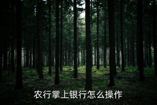 怎么在手机上使用农业银行,手机下载农业银行怎么登录