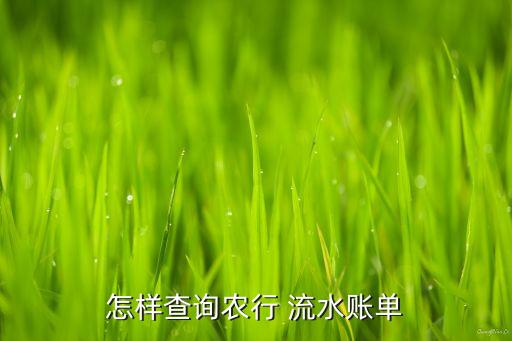 农业银行怎么做流水