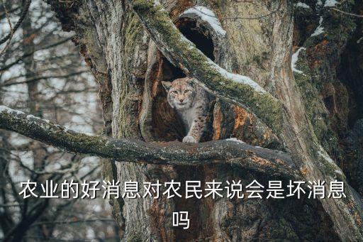  农业的好消息对农民来说会是坏消息吗