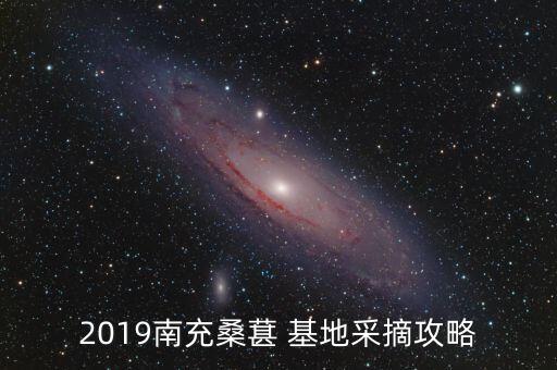 2019南充桑葚 基地采摘攻略
