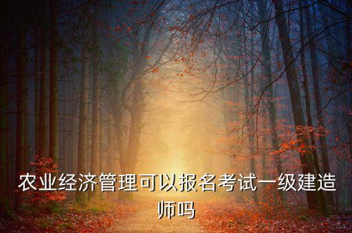  农业经济管理可以报名考试一级建造师吗