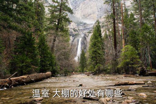 农业种植大棚怎么样