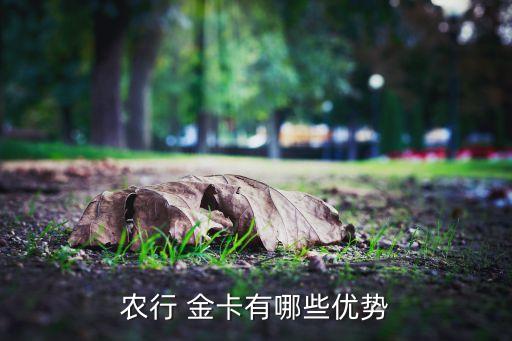 农业银行借记卡金卡怎么办