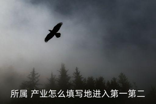 农业产业发展情况表怎么填