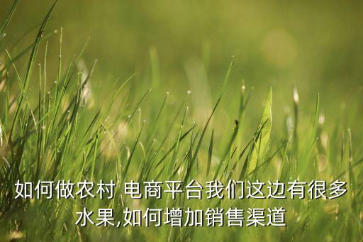 怎么运作农业公司电商业务