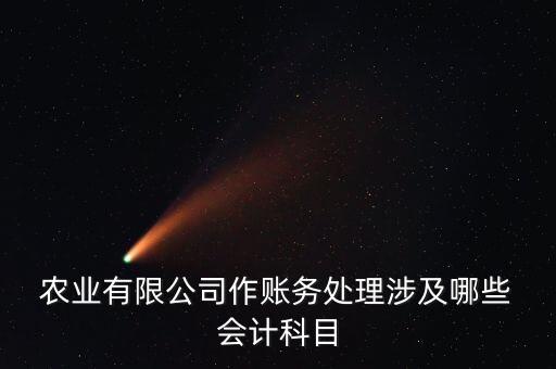 农业会计的帐怎么做,在农业公司做会计怎么样