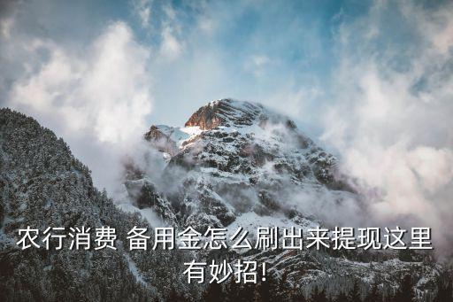 收到农业银行备用金怎么办,农业银行498000备用金