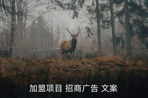 农业公司招商文案怎么写,抖音招商要求以及优势怎么写文案