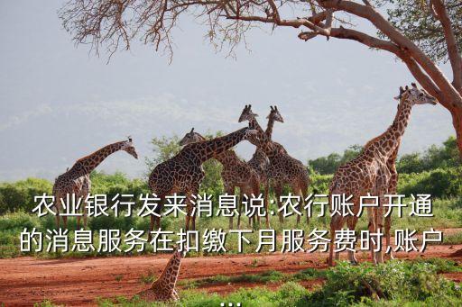 农业银行怎么提醒余额不足