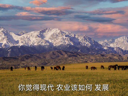 怎么实现农业高质量发展,农业高质量发展申论范文