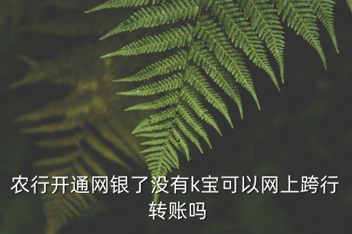 农业 银行无k令怎么转账,农业手机银行怎么用不了