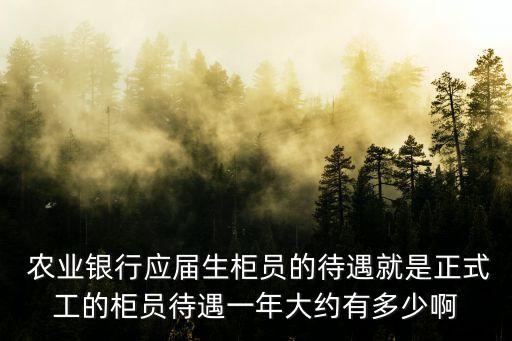  农业银行应届生柜员的待遇就是正式工的柜员待遇一年大约有多少啊