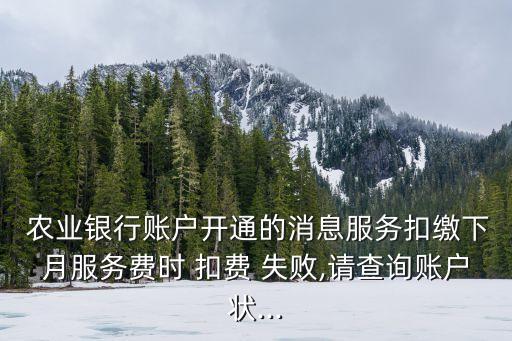 农业银行扣费失败怎么交