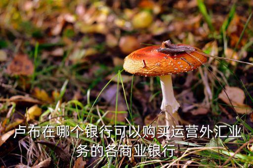 农业银行怎么买卢布股,20万买农业银行股
