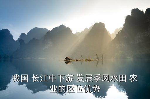 长江地区发展什么农业,枞阳县长江农业发展(集团)公司