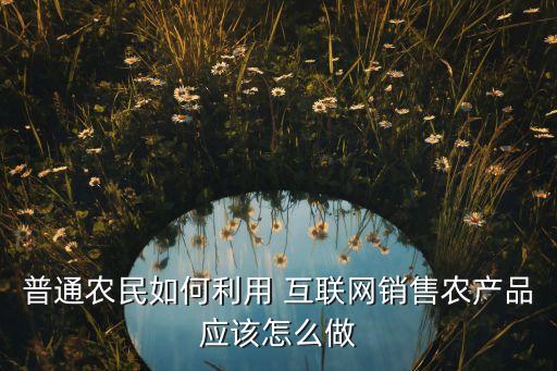 怎么玩互联网农业,互联网 农业市场分析