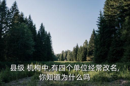 农业农村局四大机构是什么,顺德区农业农村局机构领导