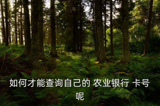 农业银行不在身怎么查卡号,怎么查自己有没有农业银行