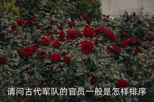 龙武农业怎么样,龙武这个游戏怎么样