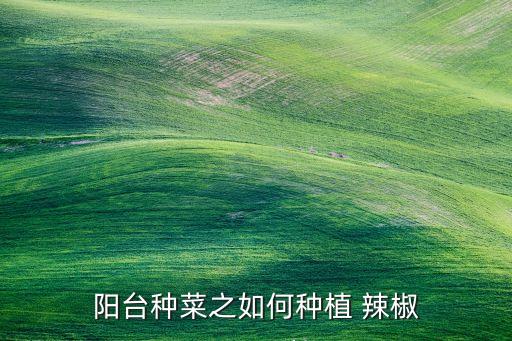 农业红辣椒怎么种,红辣椒怎么种出来的