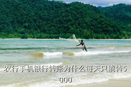 农业银行每天限额怎么回事