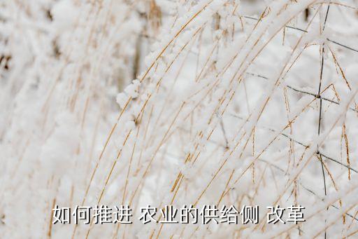 农业产业结构怎么改革,怎么优化农业产业结构