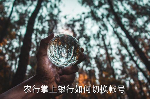 农业银行怎么换卡号