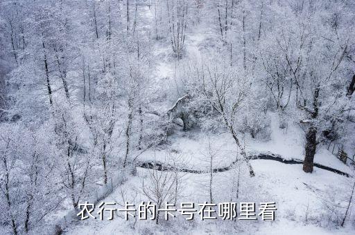 贵州农业银行卡号怎么查,在农业银行app怎么查卡号