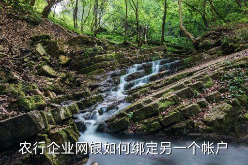 农业银行怎么加新账户