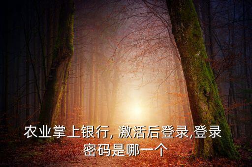 农业银行手机怎么激活密码