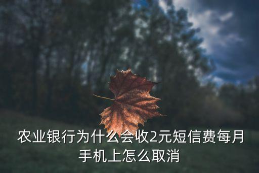 农业银行信息费怎么还