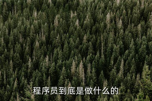 码农业务怎么样,武汉码农之家怎么样
