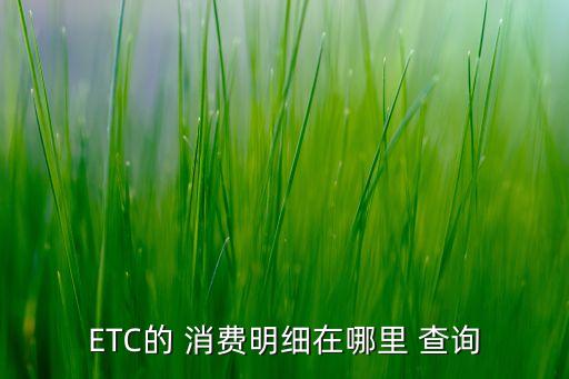 农业银行etc消费怎么查询,ETC消费怎么查询