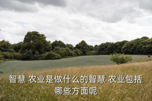 gca在农业上是什么意思,SCA和GCA是什么意思