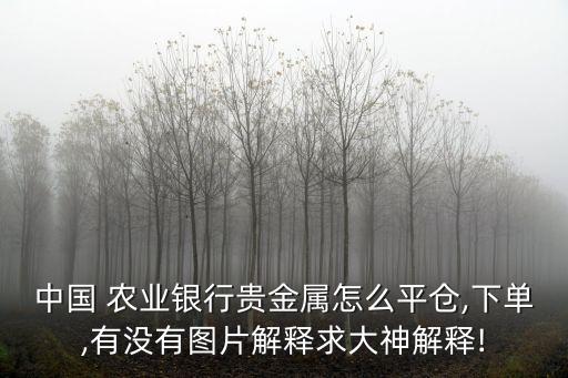 中国 农业银行贵金属怎么平仓,下单,有没有图片解释求大神解释!