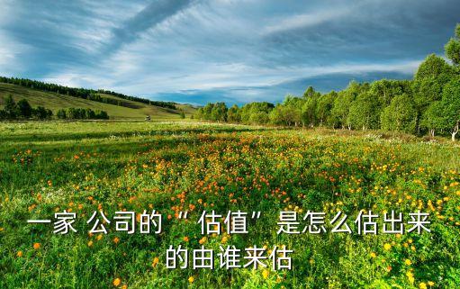 农业公司估值怎么算得准确
