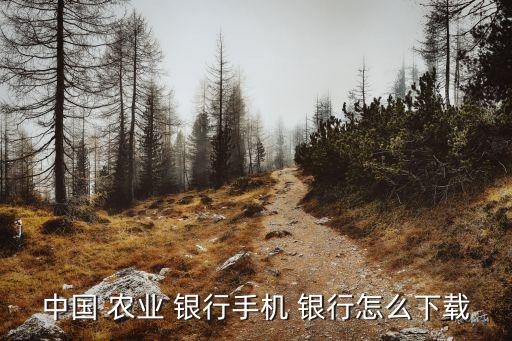 农业掌上银行怎么