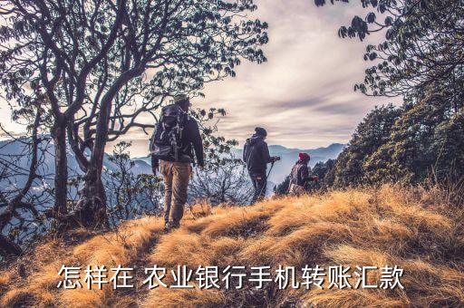 农业银行打钱怎么给,往农业银行卡里打钱多久到账