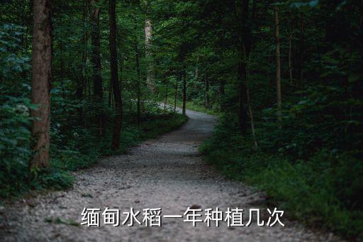 缅甸农业种什么,缅甸的农业发达吗