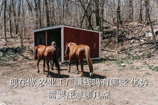 农业行业企业优势怎么填,在农业企业中采用HACCP有哪些优势
